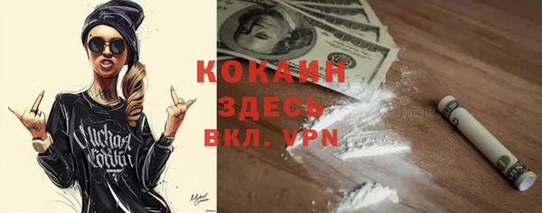 стаф Ельня