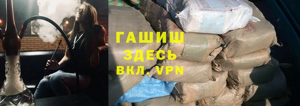 стаф Ельня