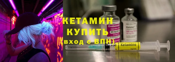 стаф Ельня