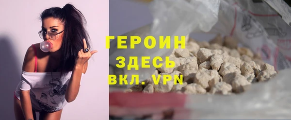 стаф Ельня