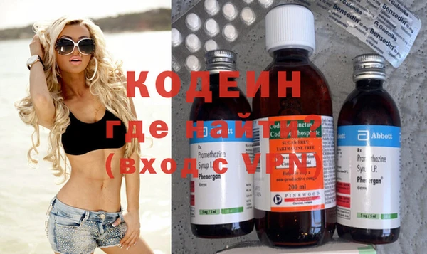 стаф Ельня