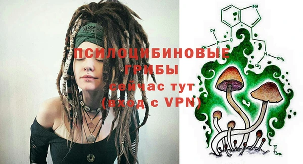 мяу мяу мука Елабуга