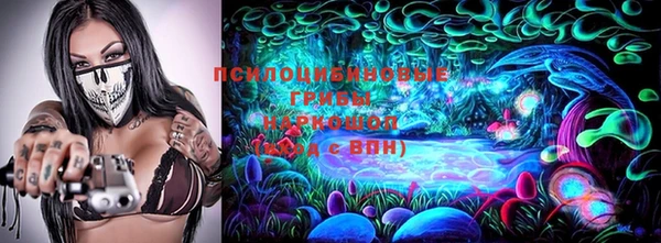 стаф Ельня