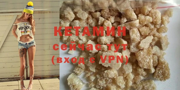 стаф Ельня