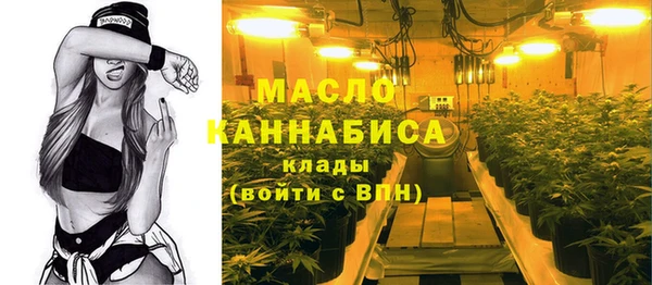 стаф Ельня
