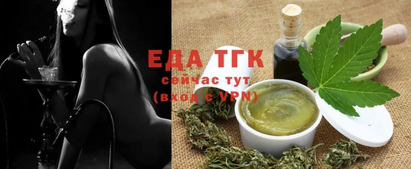 стаф Ельня