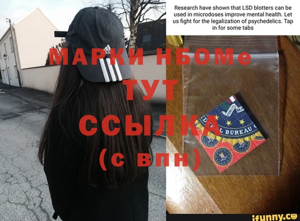 стаф Ельня