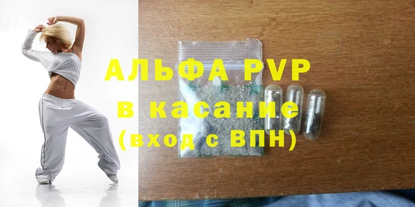 стаф Ельня
